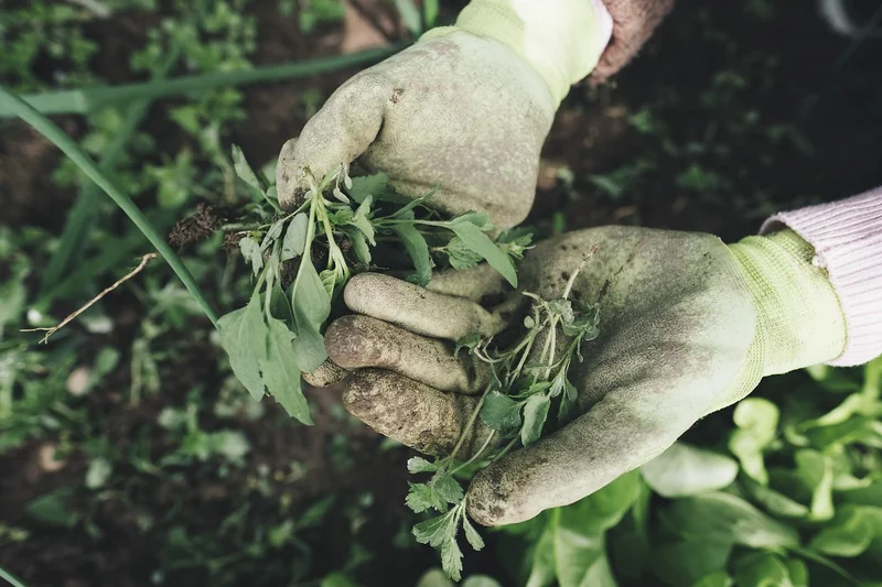 3. Les gants de protection : le grip qui sauve